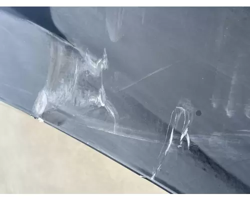 FREIGHTLINER Cascadia 116 Hood
