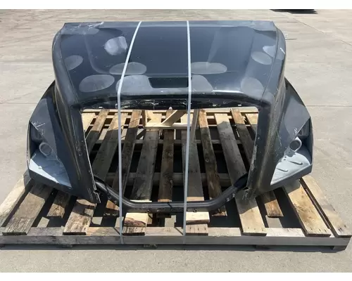 FREIGHTLINER Cascadia 116 Hood