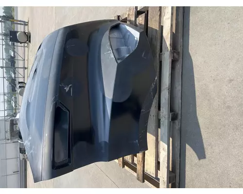 FREIGHTLINER Cascadia 116 Hood