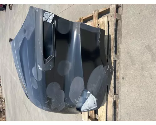 FREIGHTLINER Cascadia 116 Hood