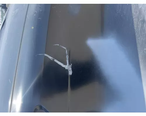 FREIGHTLINER Cascadia 116 Hood