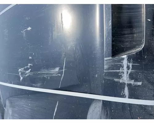 FREIGHTLINER Cascadia 116 Hood