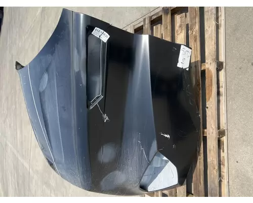 FREIGHTLINER Cascadia 116 Hood