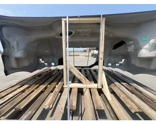 FREIGHTLINER Cascadia 116 Hood