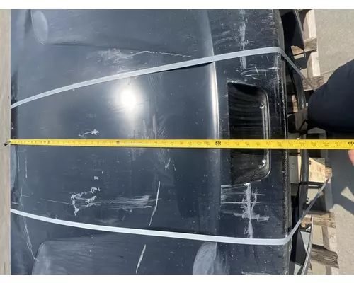 FREIGHTLINER Cascadia 116 Hood