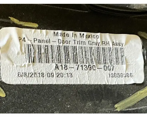 FREIGHTLINER Cascadia 116 Trim Panel, Front Door