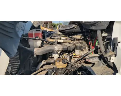 FREIGHTLINER Cascadia 125 Cab Assembly