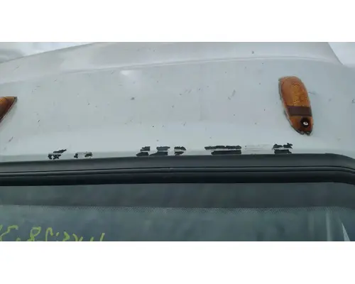 FREIGHTLINER Cascadia 125 Cab Assembly