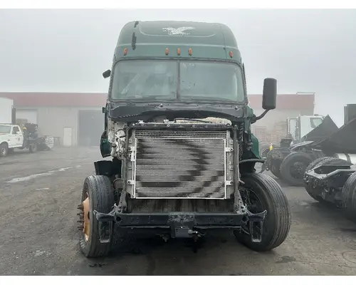 FREIGHTLINER Cascadia 125 Cab Assembly