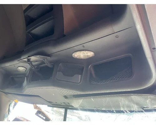 FREIGHTLINER Cascadia 125 Cab Assembly