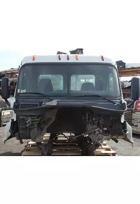 FREIGHTLINER Cascadia 125 Cab Assembly