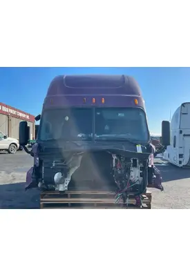FREIGHTLINER Cascadia 125 Cab Assembly
