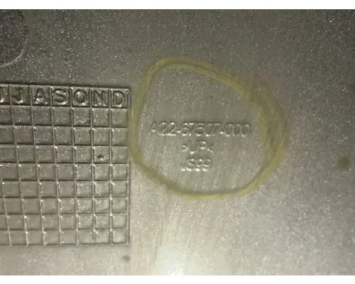 FREIGHTLINER Cascadia 125 CabSleeper Fairing