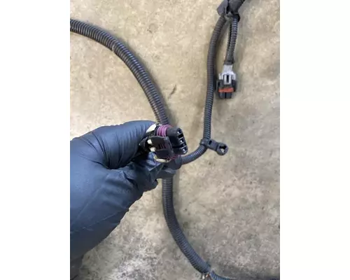 FREIGHTLINER Cascadia 125 Chassis Wiring Harness