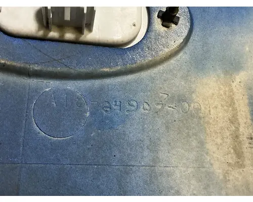 FREIGHTLINER Cascadia 125 Cowl