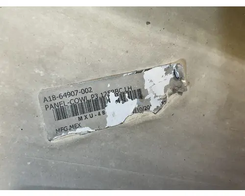 FREIGHTLINER Cascadia 125 Cowl