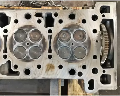 FREIGHTLINER Cascadia 125 Cylinder Head