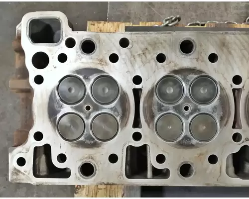 FREIGHTLINER Cascadia 125 Cylinder Head