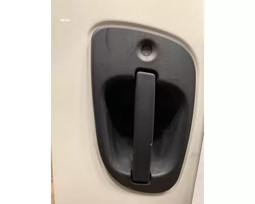 FREIGHTLINER Cascadia 125 Door Assembly, Front
