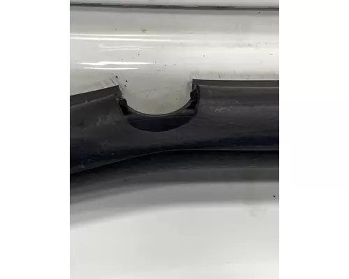 FREIGHTLINER Cascadia 125 Door Assembly, Front