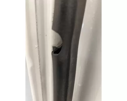 FREIGHTLINER Cascadia 125 Door Assembly, Front