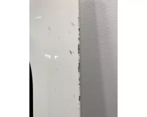 FREIGHTLINER Cascadia 125 Door Assembly, Front