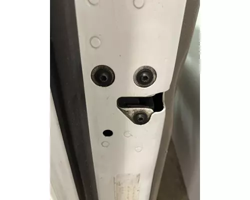 FREIGHTLINER Cascadia 125 Door Assembly, Front