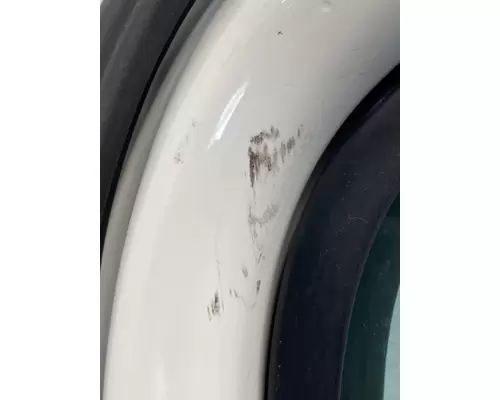 FREIGHTLINER Cascadia 125 Door Assembly, Front