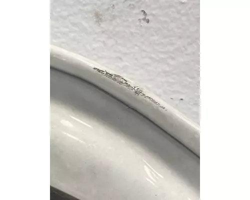 FREIGHTLINER Cascadia 125 Door Assembly, Front