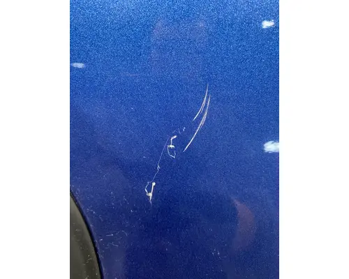 FREIGHTLINER Cascadia 125 Door Assembly, Front