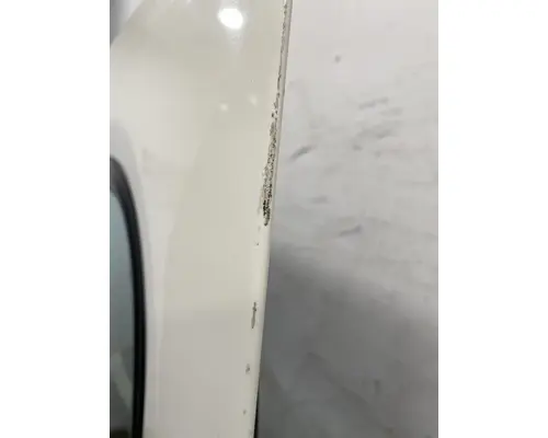 FREIGHTLINER Cascadia 125 Door Assembly, Front