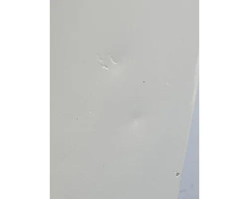 FREIGHTLINER Cascadia 125 Door Assembly, Front