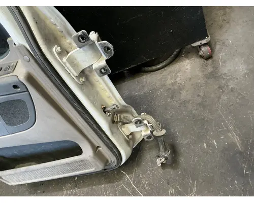 FREIGHTLINER Cascadia 125 Door Assembly, Front