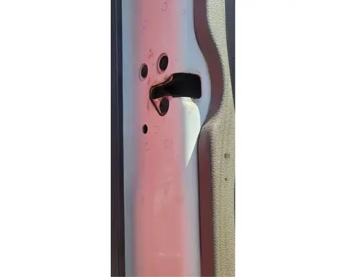 FREIGHTLINER Cascadia 125 Door Assembly, Front