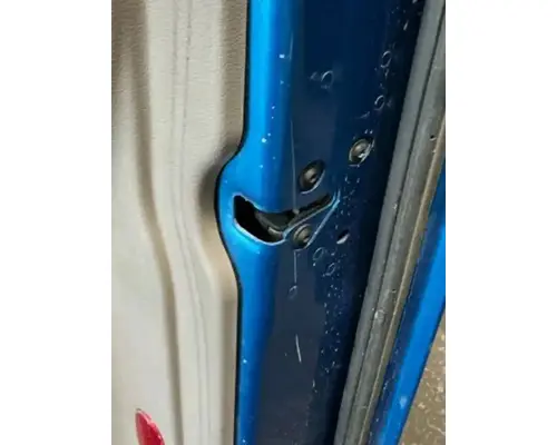 FREIGHTLINER Cascadia 125 Door Assembly, Front