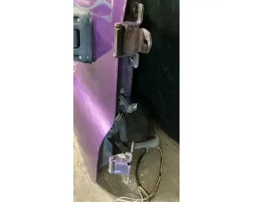 FREIGHTLINER Cascadia 125 Door Assembly, Front
