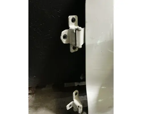 FREIGHTLINER Cascadia 125 Door Assembly, Front