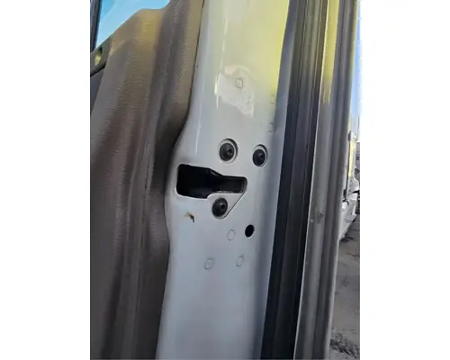 FREIGHTLINER Cascadia 125 Door Assembly, Front