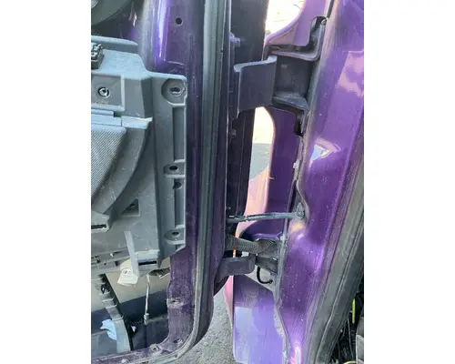 FREIGHTLINER Cascadia 125 Door Assembly, Front