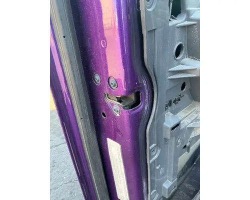 FREIGHTLINER Cascadia 125 Door Assembly, Front