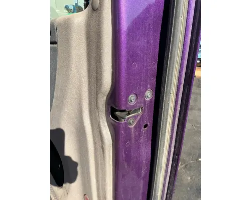 FREIGHTLINER Cascadia 125 Door Assembly, Front