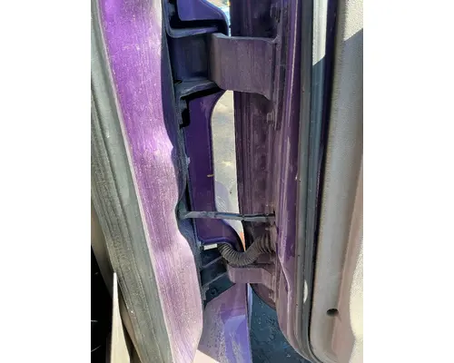 FREIGHTLINER Cascadia 125 Door Assembly, Front