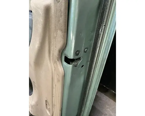 FREIGHTLINER Cascadia 125 Door Assembly, Front