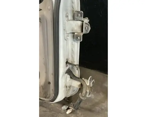 FREIGHTLINER Cascadia 125 Door Assembly, Front