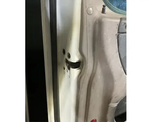 FREIGHTLINER Cascadia 125 Door Assembly, Front