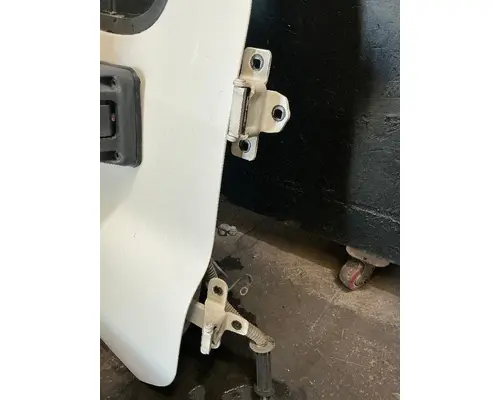 FREIGHTLINER Cascadia 125 Door Assembly, Front