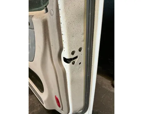 FREIGHTLINER Cascadia 125 Door Assembly, Front