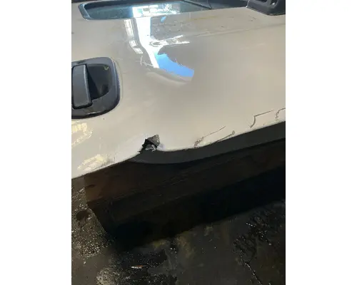 FREIGHTLINER Cascadia 125 Door Assembly, Front