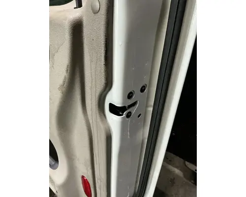 FREIGHTLINER Cascadia 125 Door Assembly, Front