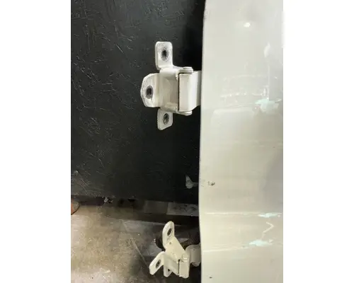 FREIGHTLINER Cascadia 125 Door Assembly, Front